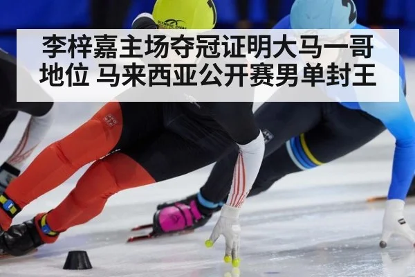 李梓嘉主场夺冠证明大马一哥地位 马来西亚公开赛男单封王